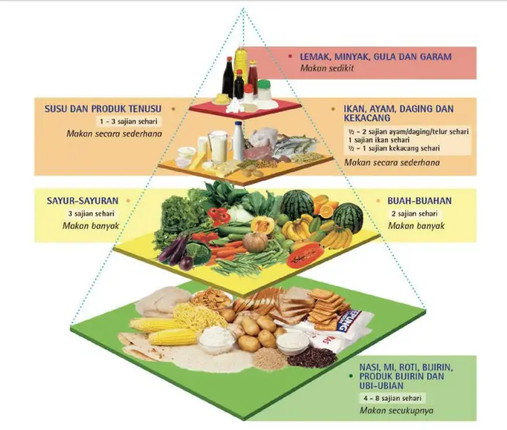 Piramid makanan 2021