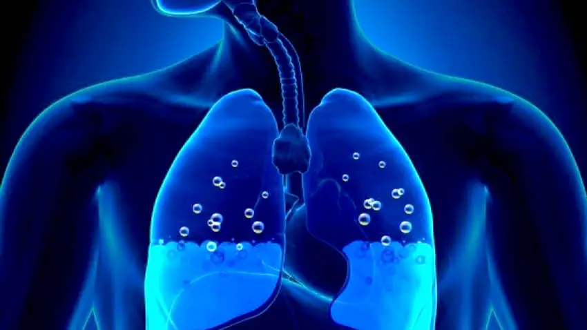 punca paru paru berair