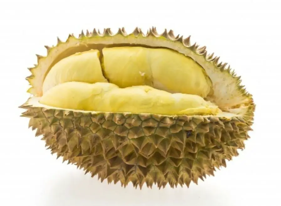 susu dan santan boleh menghilangkan bau durian