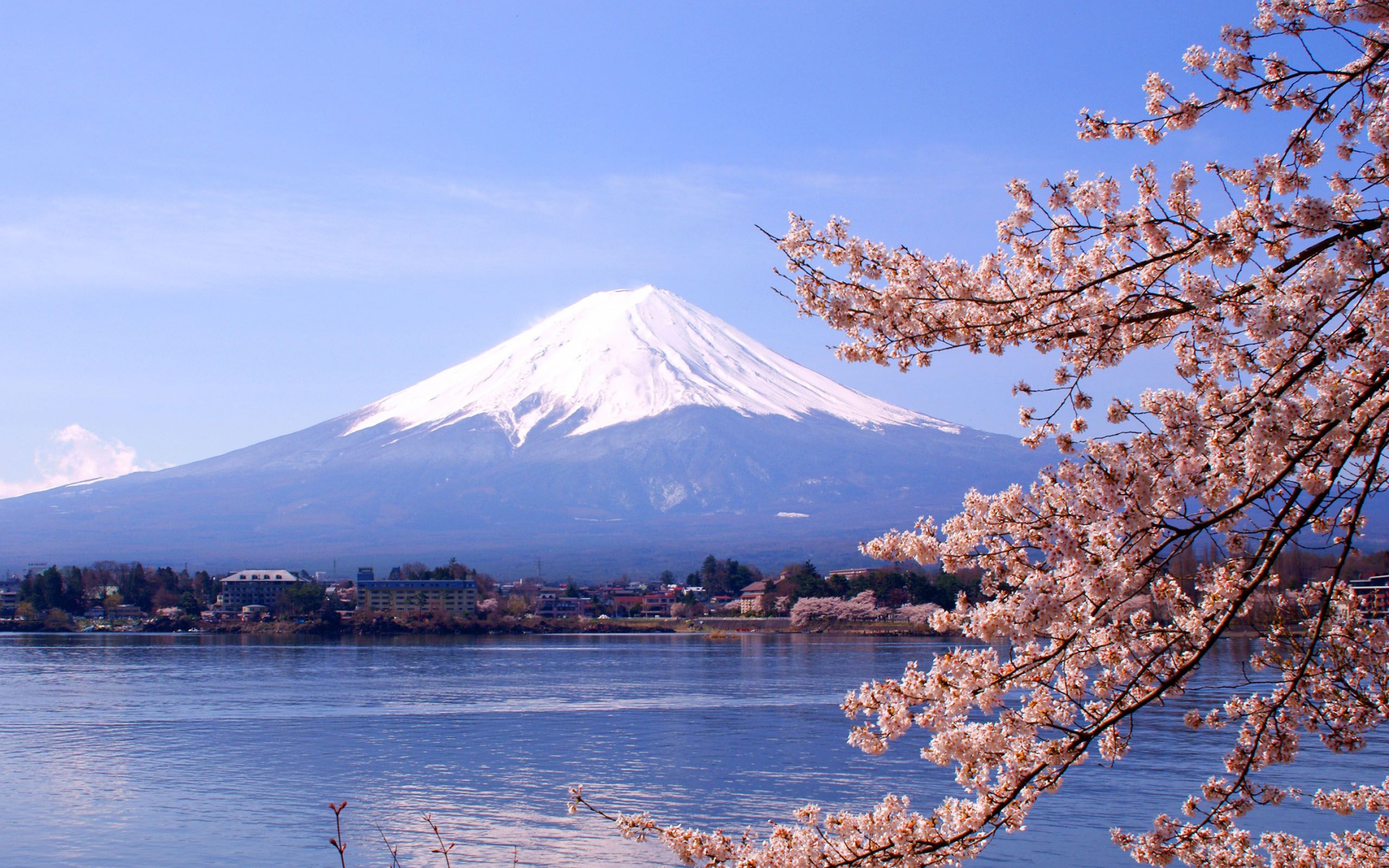 14 Tempat Menarik Di Tokyo Yang Wajib Anda Lawati Bidadari My