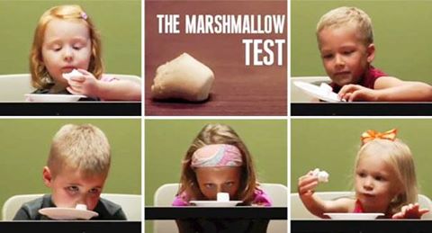 Eksperimen Mashmallow