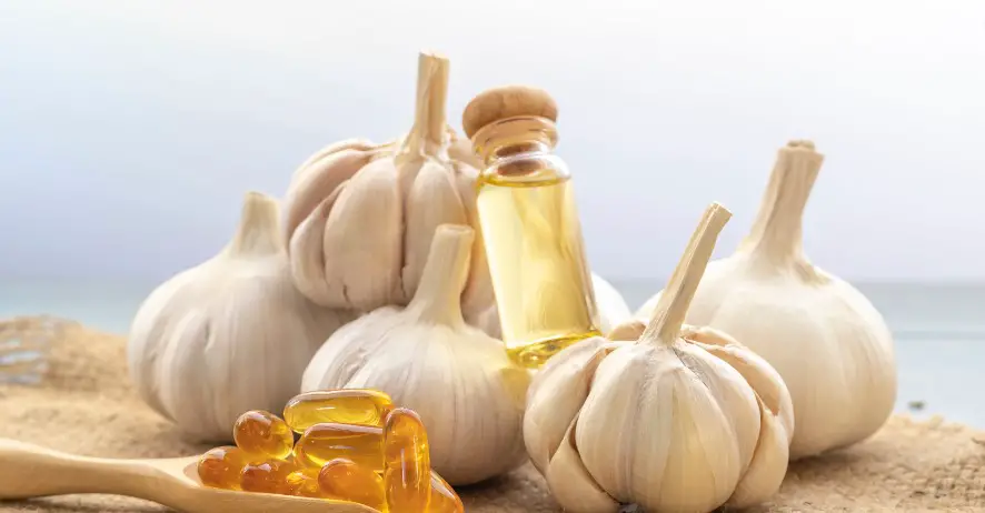 khasiat golden garlic