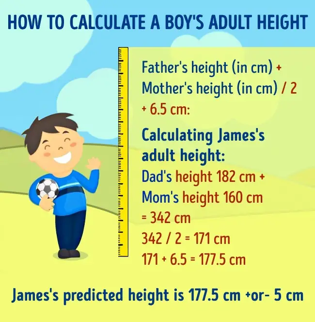 Tinggi anak lelaki