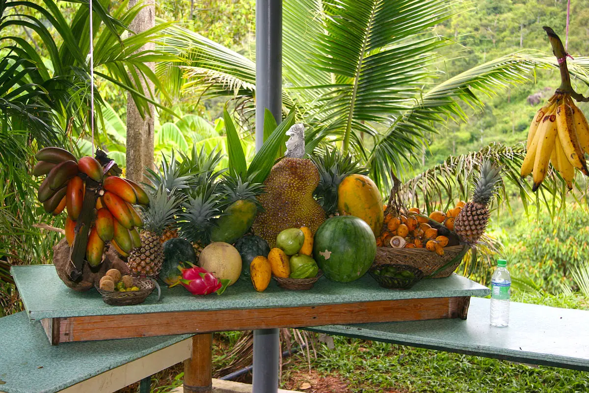 Tropical Fruit Farm