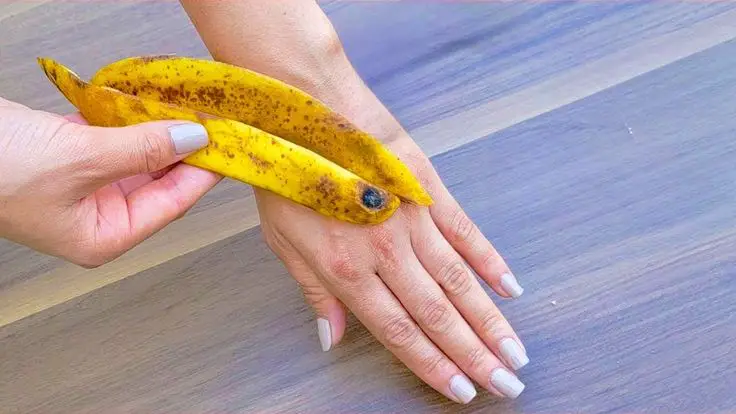 manfaat kulit pisang