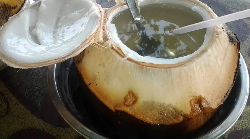 air kelapa muda