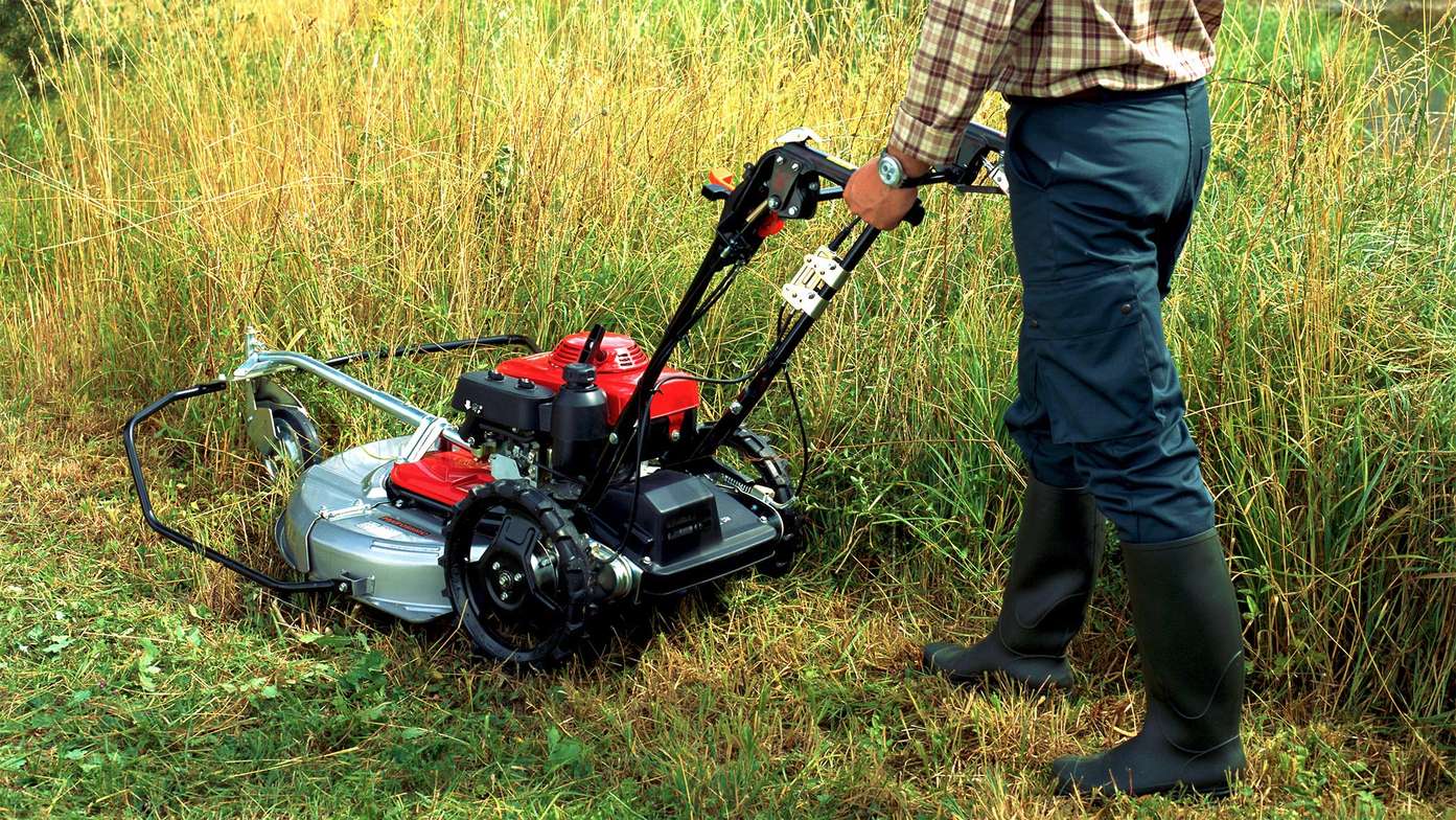7 Tips Mesin Rumput Yang Sangat Berguna Untuk Anda - Bidadari.My