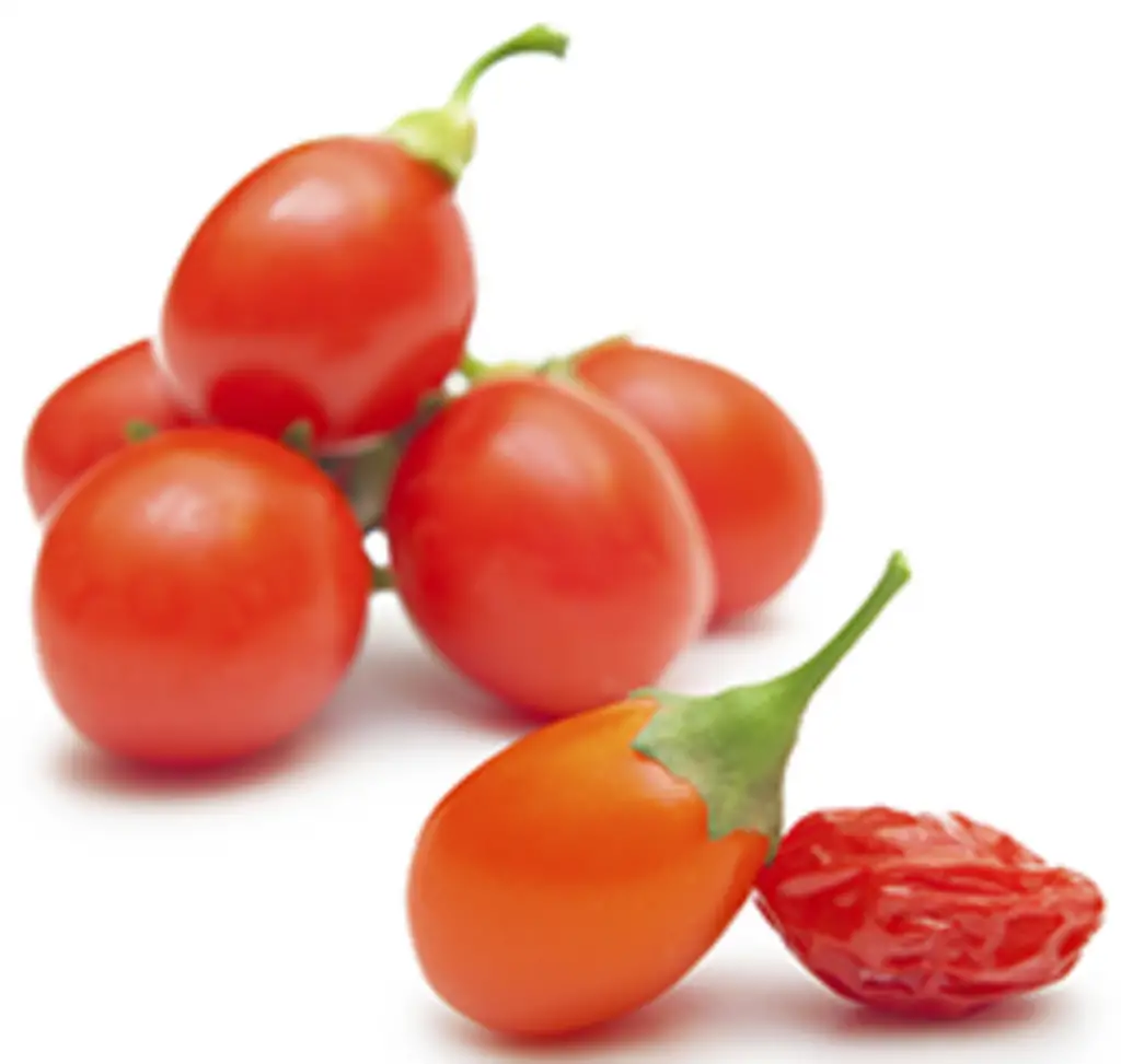 khasiat goji berry