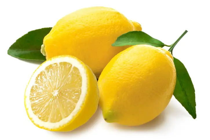 Image result for khasiat lemon