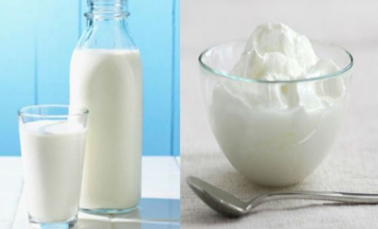 Info Kesihatan, Tempoh Masa Penyimpanan Susu Dan Yogurt 